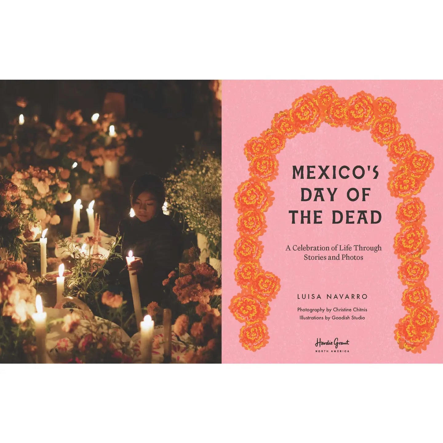 Mexico's Day Of The Dead | DLM Supply