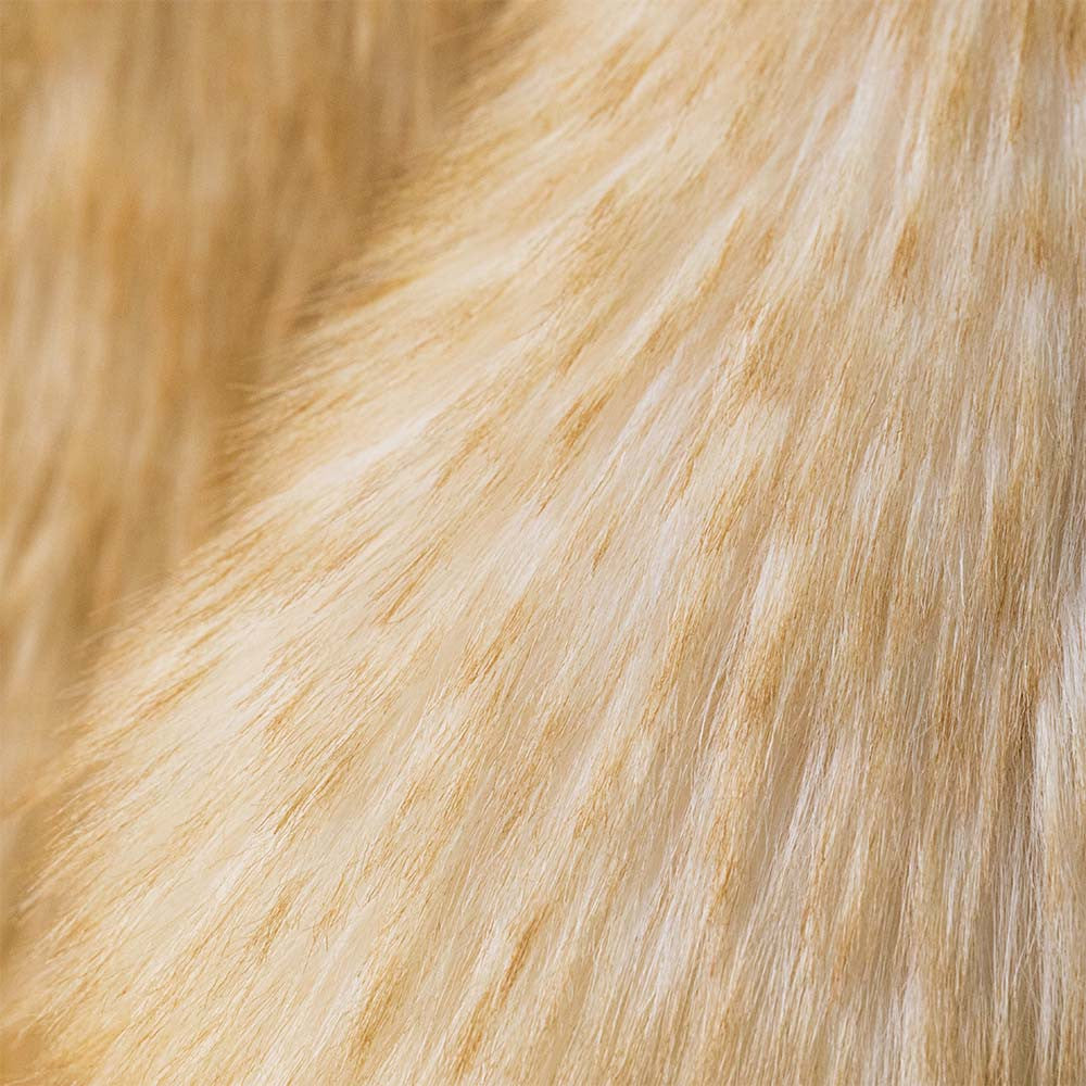 8c491aafBAH2LPB_1__10410.jpg?v