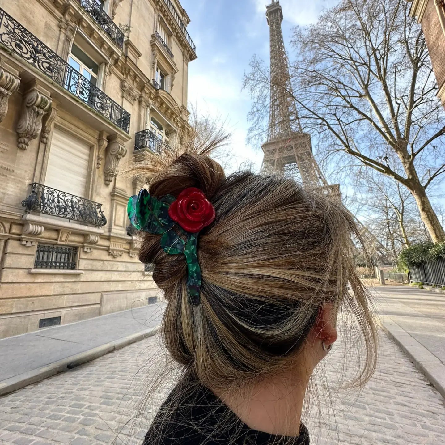 Solar Eclipse Eco-Friendly Claw Hair Clip | DLM Supply
