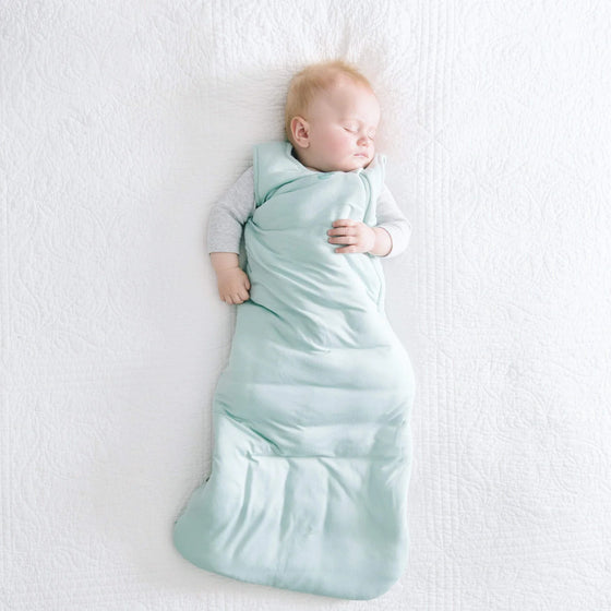 Kyte Baby Sleep Bag