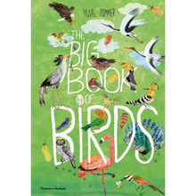  The Big Book of Birds