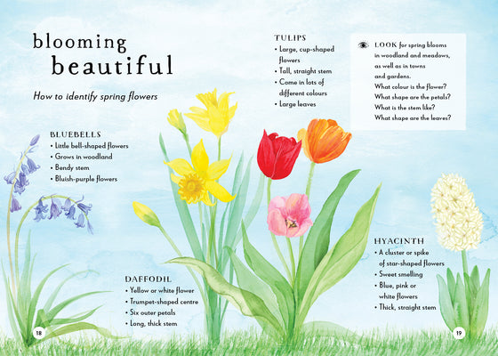 A Field Guide to Spring