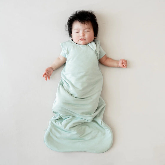Kyte Baby Sleep Bag