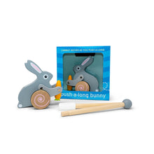  Easter Bunny Roll-Along Push Toy