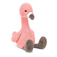  Bashful Flamingo