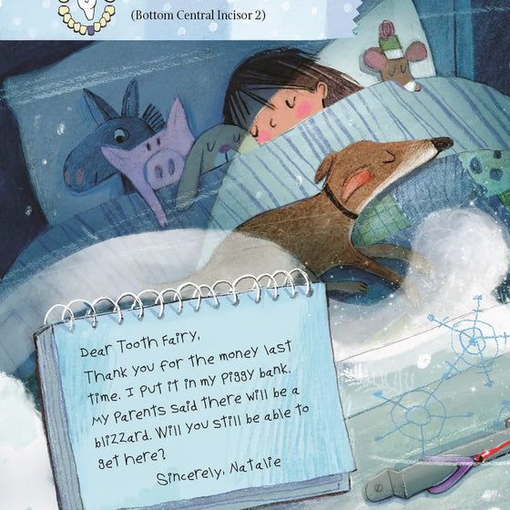 Letters from My Tooth Fairy Picture Book