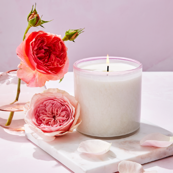 Blush Rose Signature Candle - Sunroom